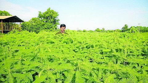 உயர்வுக்கு வழிவகுக்கும் ஒருங்கிணைந்த பண்ணையம்: ஆசிரியர் வேலையை உதறிவிட்டு சாதனை புரியும் இளைஞர்