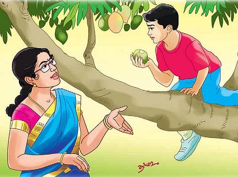 புளிக்கும் காய் இனிப்பாக மாறுவது எப்படி?