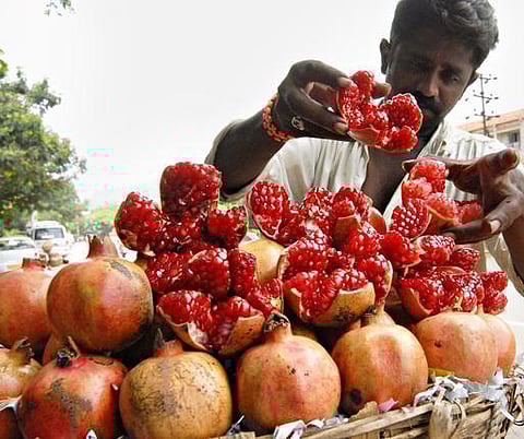 ‘அல்ஸைமர், பார்க்கின்சன் நோய்க்கு மாதுளம் பழத் தோல் மருந்து’