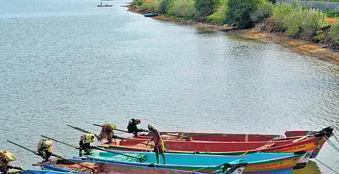 நஞ்சூர் ஆகிடுமோ கடலூர்?