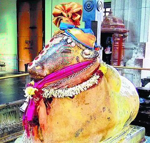 வளமெல்லாம் அருளும் நெய் நந்தீஸ்வரர் - செப்டம்பர் 6: சனிப் பிரதோஷம்