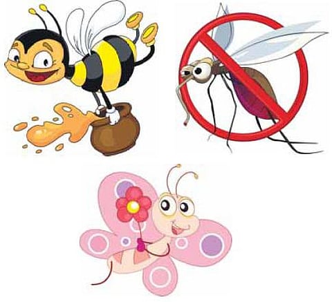 பூச்சிகள் என்றால் கோபமா?