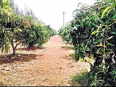 வடபழனியில் ஒரு கிரவுண்ட் 5 ஆயிரம்