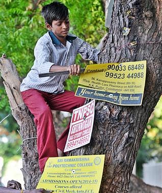 மரங்களில் விளம்பரம் செய்தால் ரூ.1,000 அபராதம்: கர்நாடக அரசு அறிவிப்பு