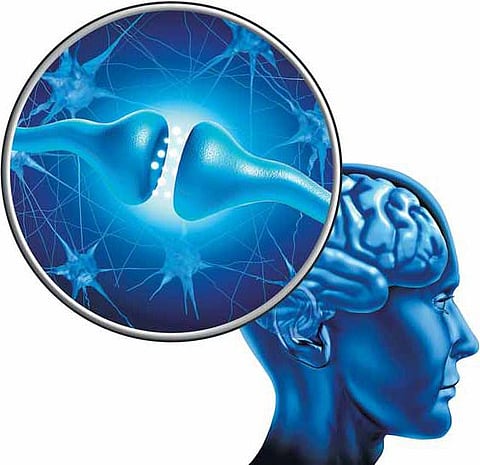 நினைவாற்றல் இழப்பைத் தடுக்க முடியாதா?