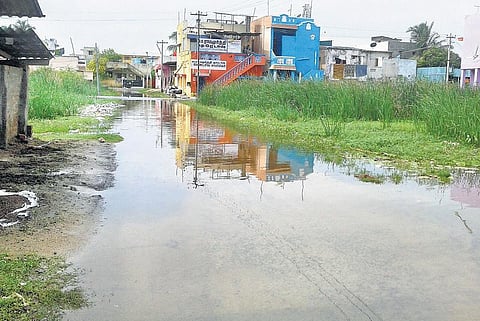 ஓரிக்கையில் வடிகால்வாய்கள் இல்லாததால் குடியிருப்பு பகுதியில் மழைநீர் தேக்கம்: நெடுஞ்சாலைத் துறையை கைகாட்டும் நகராட்சி