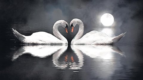 புதுமையான ஒரு வழி