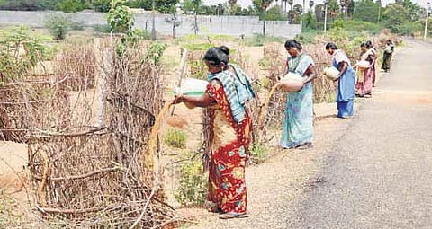 மரம் உயர, ஊர் உயரும்