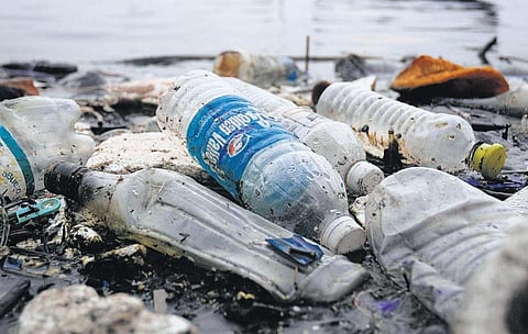 ஓர் இன்பச் சுற்றுலாவும், அதற்குப் பிறகும்