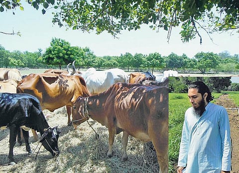 நஞ்சிலிருந்து மீட்கப்படும் அமிர்தம்