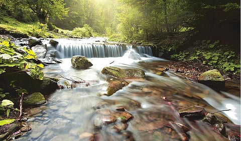 நீங்களெல்லாம் சொப்பனம்தானோ?