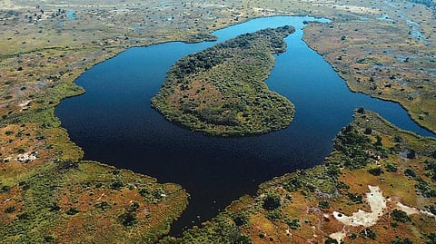 பாலைவனத்தில் ஓர் சோலைவனம்!