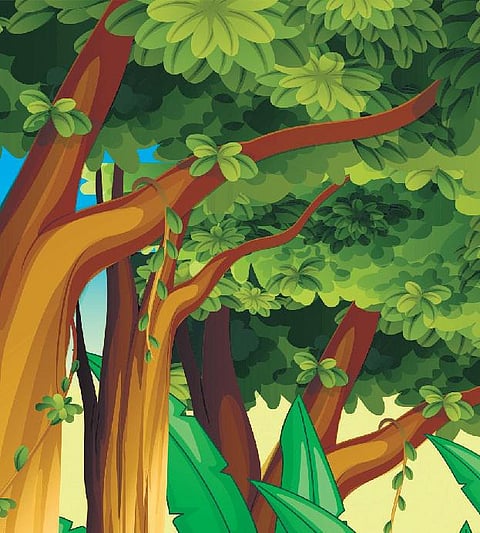 நான்தான் காடு