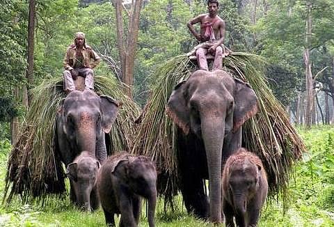 முழுமையான வாழ்க்கை இல்லை