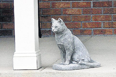 பூனையை மட்டும் அனுமதிக்காதே