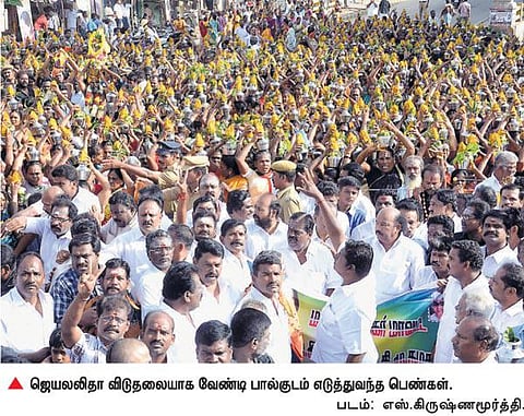 3 ஆயிரம் பெண்கள் பால்குடம் எடுத்து ஊர்வலம்: ஜெயலலிதா விடுதலைக்காக மதுரையில் அதிமுகவினர் வேண்டுதல்