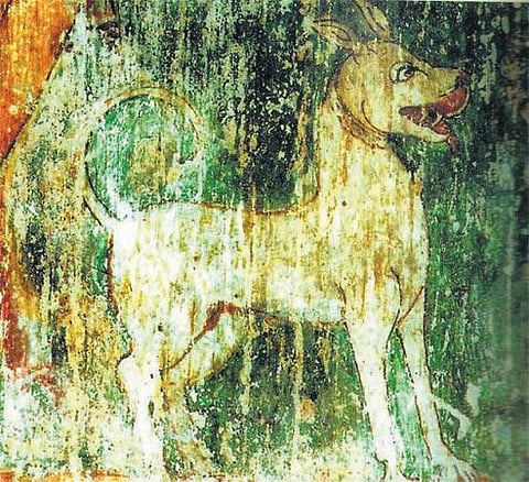 தஞ்சை பெரியகோயில் ஓவியத்தில் காணப்படும் அழிந்துபோன அலங்கு நாய்