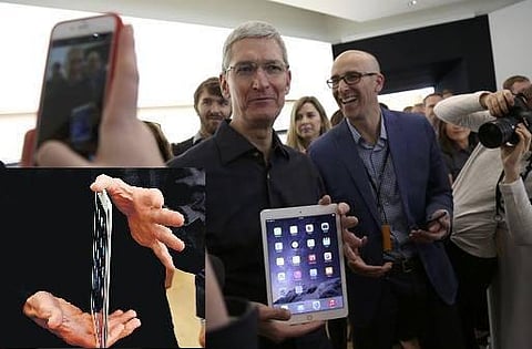 உலகின் மெல்லியதான ‘டேப்லெட்’: ஆப்பிள் அறிமுகம்