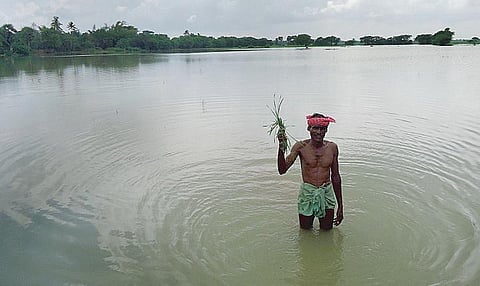 அரபிக்கடலில் குறைந்த காற்றழுத்த தாழ்வு பகுதி: தமிழகத்தில் இன்று கன மழை பெய்ய வாய்ப்பு