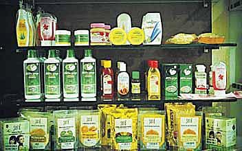 குன்றாத பசுமையுடன்...