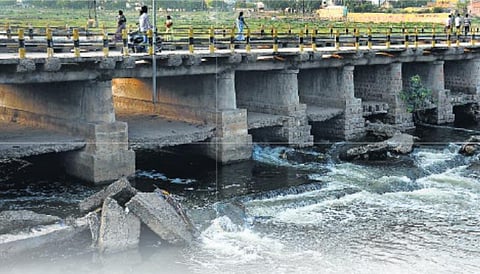 கொஞ்சம் கொஞ்சமாய் நஞ்சாகும் வைகை