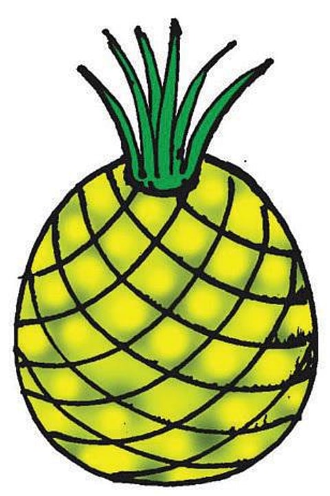 அழகான அன்னாசிப் பழம் - நீங்களே செய்யலாம்