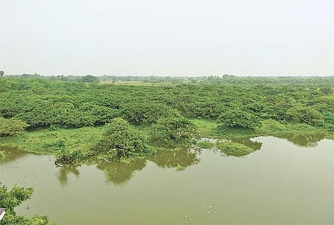 வெளிநாட்டில் இருந்து பறவைகள் வரத்து குறைந்தது: வெறிச்சோடிய வேடந்தாங்கல் - ஏமாற்றத்துடன் திரும்பும் சுற்றுலாப் பயணிகள்