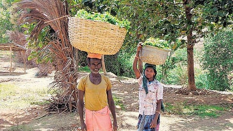 மெல்லத் தமிழன் இனி...! 38 - யார், ஆதிகுடியைக் குடிநோயாளியாக்கியது?