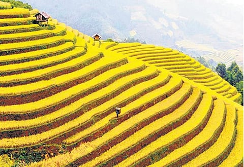 மலை போல நம்புவோம்