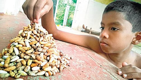 வேப்பமுத்து புளியமுத்தே...