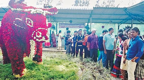 ஏற்காட்டில் இரண்டாம் பருவ மலர் கண்காட்சி தொடக்கம்