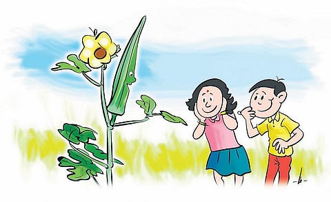 நான்தான் வெண்டைக்காய் பேசறேன்!