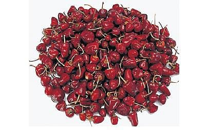 ராமநாதபுரம் பாரம்பரிய முண்டு மிளகாய்க்கு புவிசார் குறியீடு கிடைக்குமா?