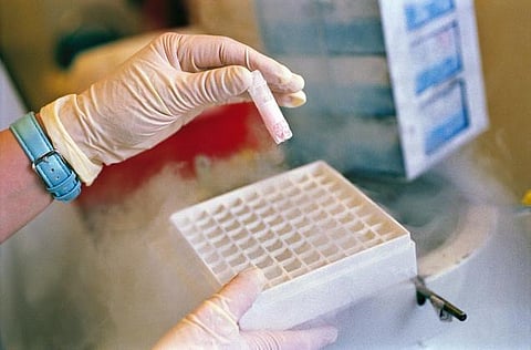 புற்றுநோய் செல்களை அழிக்கும் புதிய மூலக்கூறு கண்டுபிடிப்பு