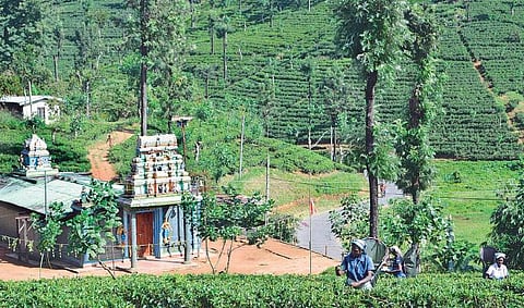 நம்முடைய மறதியின் வரலாறு