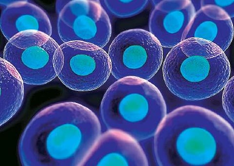 சிருஷ்டியின் அடிப்படைக்கூறு