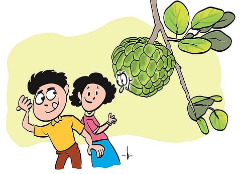 என் பேரு புத்தர் தலை!