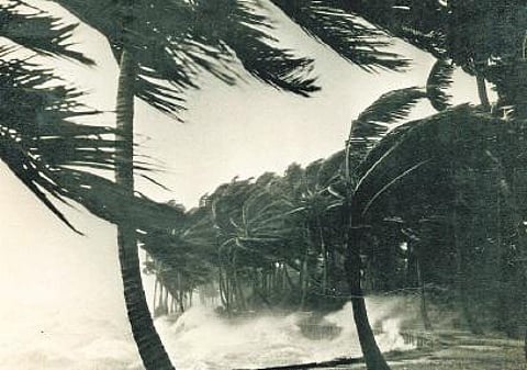 அறிவோம் நம் மொழியை: காற்றின்றி அமையாது உலகு!