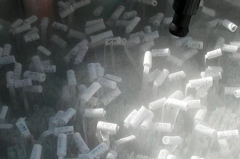 பெண்களின் கருமுட்டையைச் சேமிக்க புதிய சலுகைகள்: கார்ப்பரேட் நிறுவனங்கள் தருவது வரமா சாபமா?