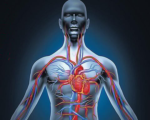 ரத்தக் குழாய் சுருக்கம் இதயத்தை பாதிக்குமா?