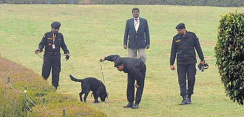 அடேயப்பா, பாதுகாப்பு!