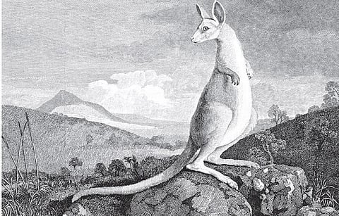 தெற்கே புதிய நிலம் தேடி