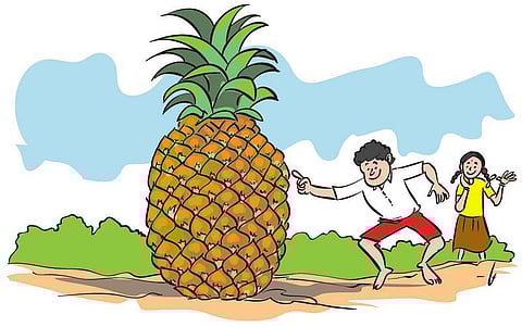 கிரீடம் உள்ள ஒரு பழம்