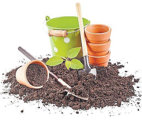 வீட்டிலேயே தயாரிக்கலாம் உரம்