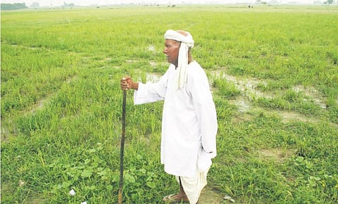 ஏழை விவசாயிகளின் குரல் கேட்கிறதா?