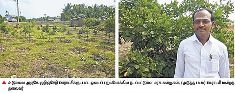 உடுமலை அருகே பசுமைக் கிராமமாக மாறும் குறிஞ்சேரி ஊராட்சி