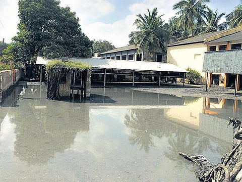 ராணிப்பேட்டை சிப்காட்டில் தோல் கழிவுகளை அகற்றுவதில் தாமதம்