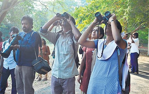 வேட்டைக்கார ஆந்தையின் தரிசனம்!