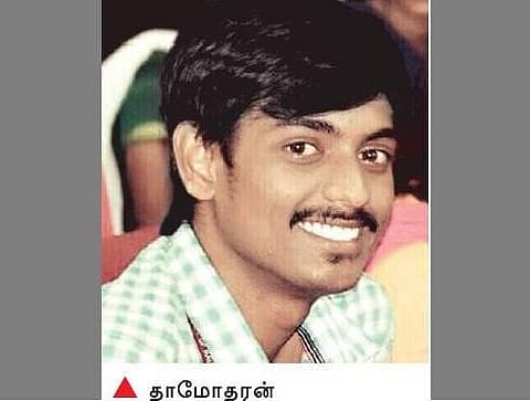 அழிவின் விளிம்பில் ராமேசுவரம் ராட்சத சிலந்தி: கள ஆய்வு நடத்தி பாதுகாக்க கோரிக்கை