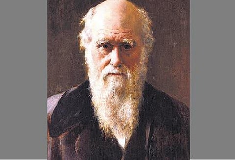 சார்லஸ் ராபர்ட் டார்வின் 10